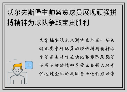 沃尔夫斯堡主帅盛赞球员展现顽强拼搏精神为球队争取宝贵胜利