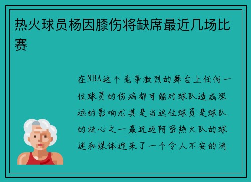 热火球员杨因膝伤将缺席最近几场比赛