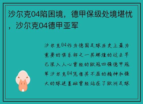 沙尔克04陷困境，德甲保级处境堪忧，沙尔克04德甲亚军