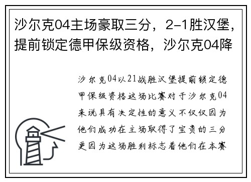 沙尔克04主场豪取三分，2-1胜汉堡，提前锁定德甲保级资格，沙尔克04降级德乙