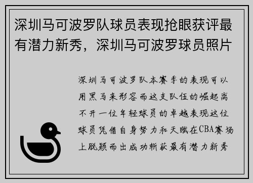 深圳马可波罗队球员表现抢眼获评最有潜力新秀，深圳马可波罗球员照片