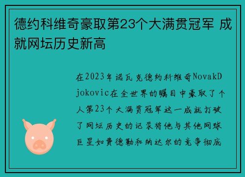 德约科维奇豪取第23个大满贯冠军 成就网坛历史新高