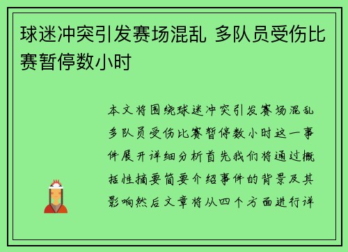 球迷冲突引发赛场混乱 多队员受伤比赛暂停数小时